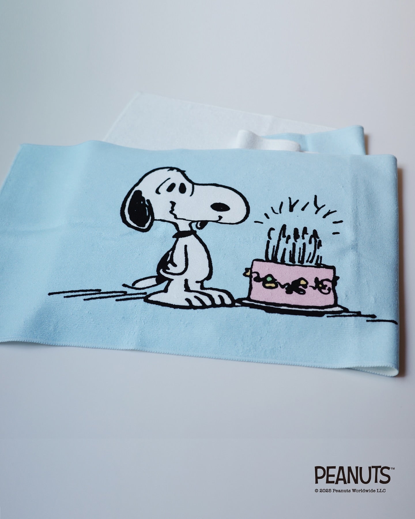 Snoopy's Birthday Series - Towel