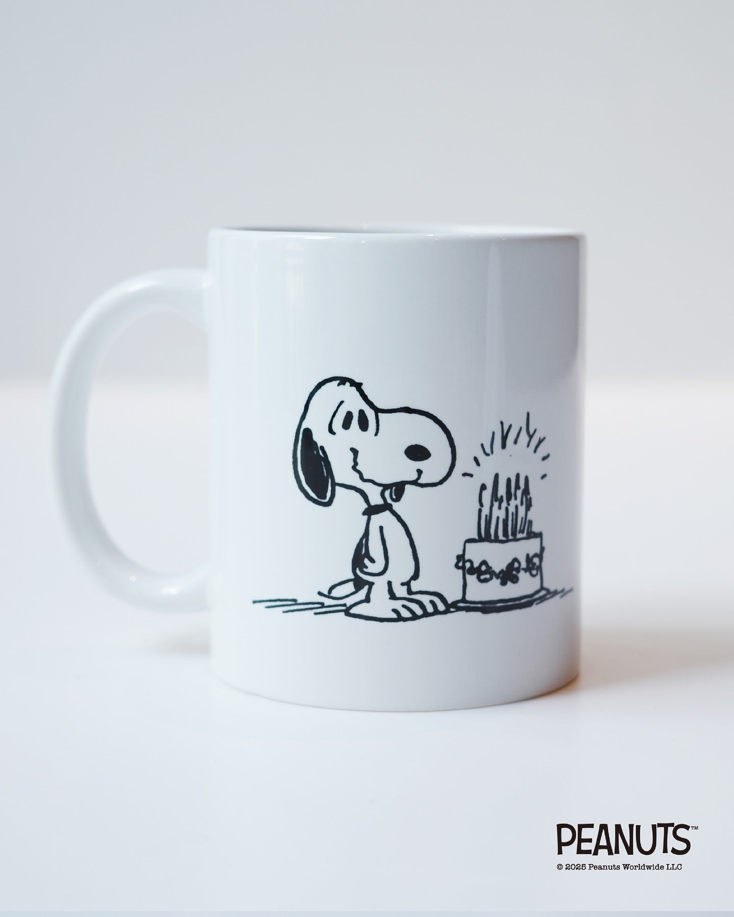 Snoopy's Birthday Series - Mug